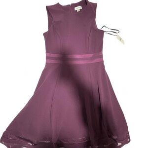 Calvin Klein Purple Sleeveless Formal Dress